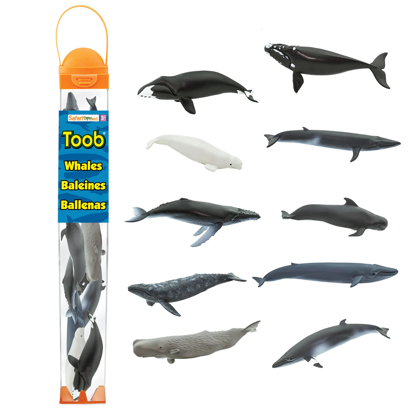 Tubo Ballenas Safari | Juguete Educativo de Vida Marina
