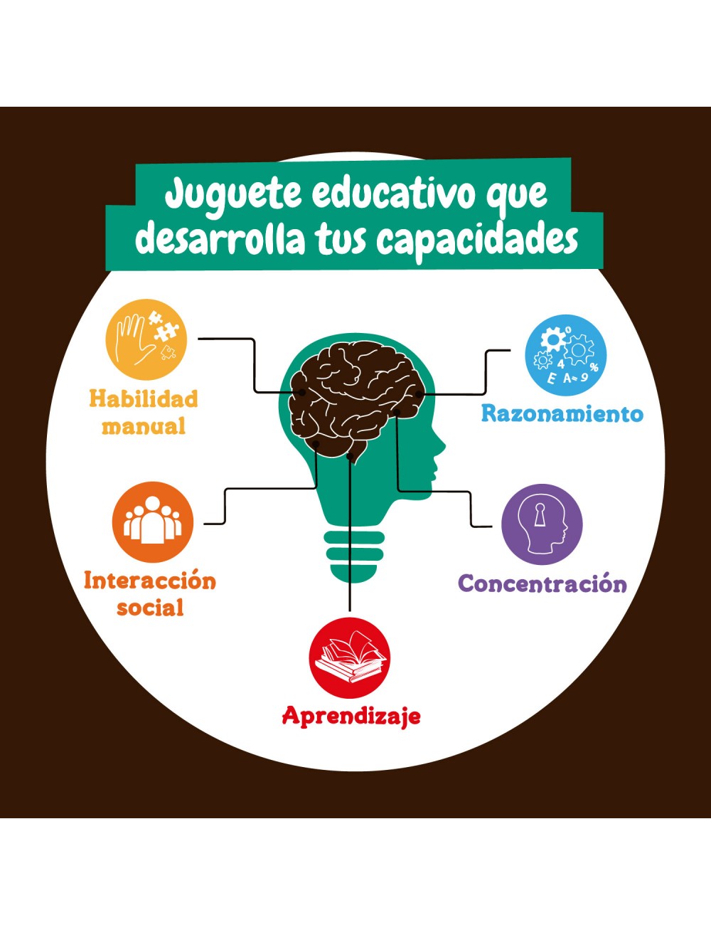 Excavaciones Fósiles 4 en 1 – Descubre Tus Dinosaurios