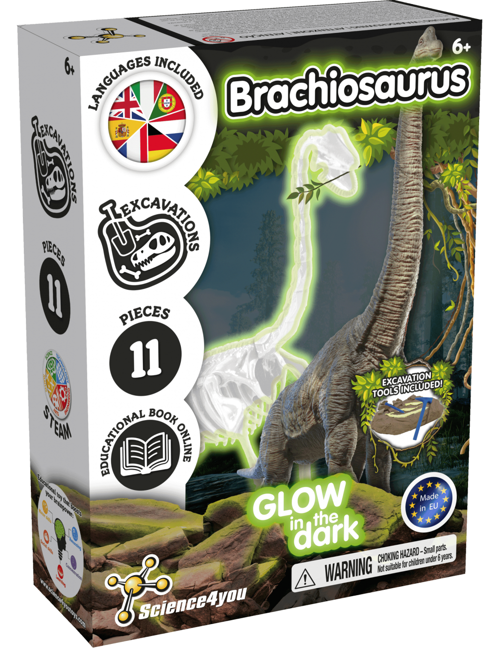 Excavaciones Brachiosaurus Brilla en la Oscuridad – Descubre Tu Dinosaurio