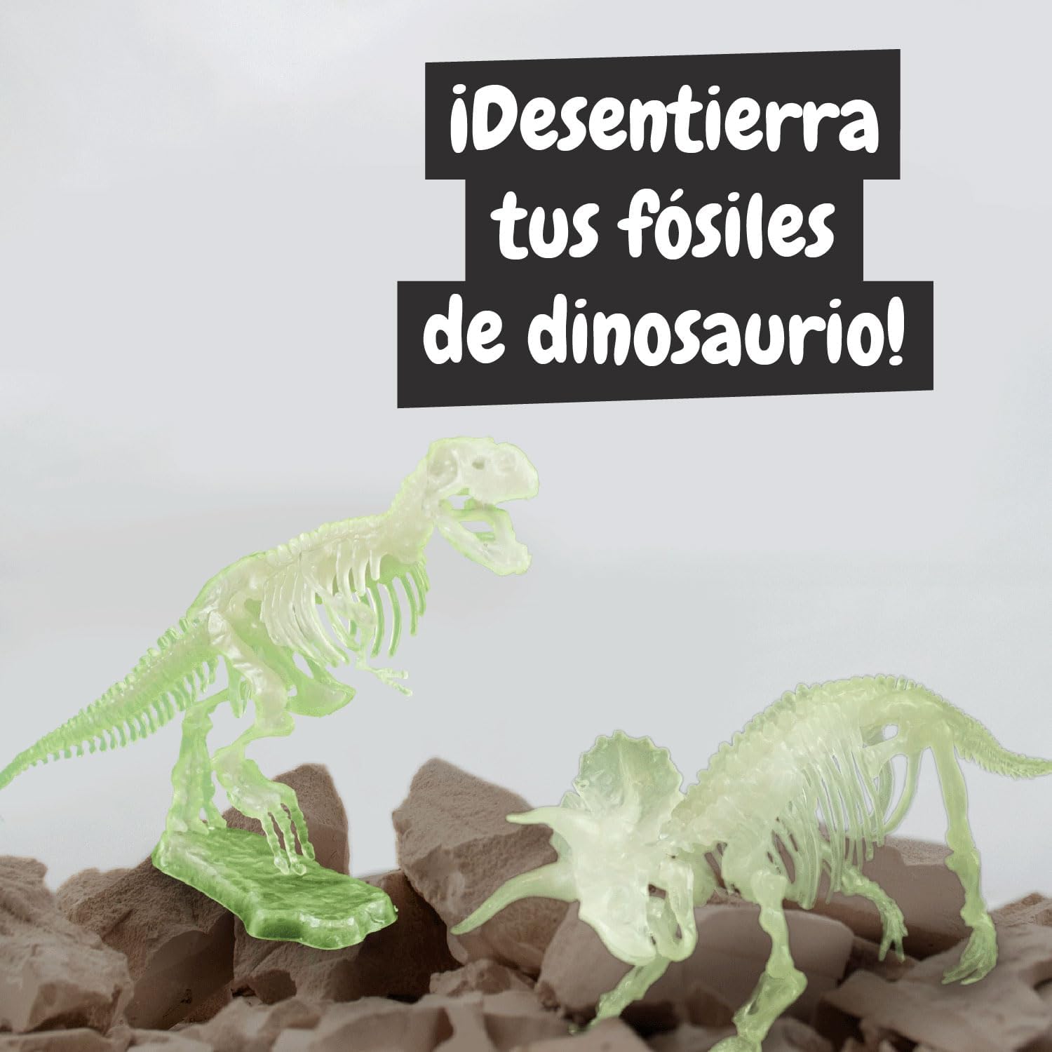 Excavaciones Fósiles 2 en 1 – Descubre Tus Dinosaurios