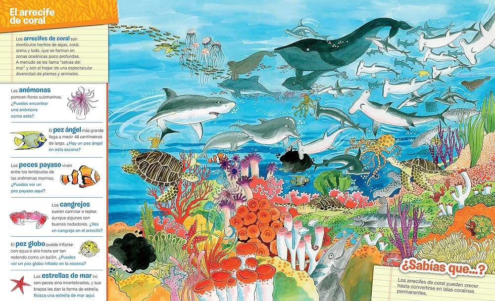 Busca y Encuentra Animales en Todas Partes | Libro Infantil – Círculo de Lectores