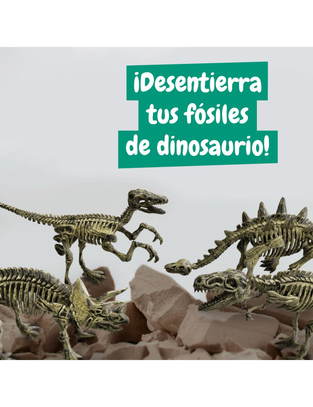 Excavaciones Fósiles 4 en 1 – Descubre Tus Dinosaurios