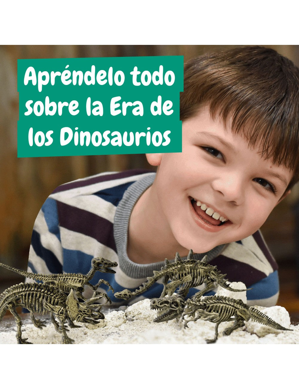 Excavaciones Fósiles 4 en 1 – Descubre Tus Dinosaurios