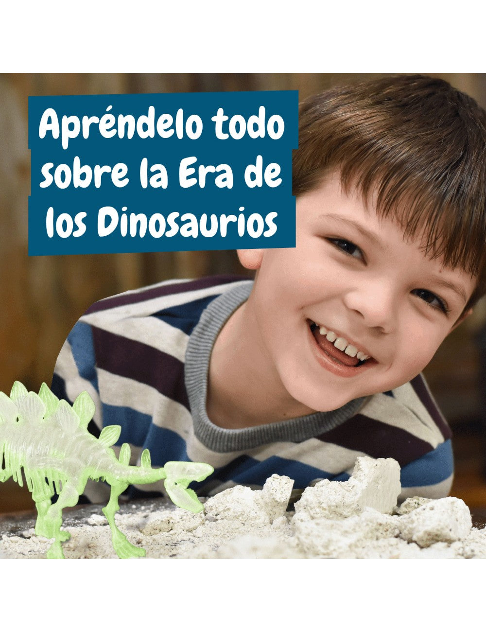 Excavaciones Stegosaurus Brilla en la Oscuridad – Descubre Tu Dinosaurio