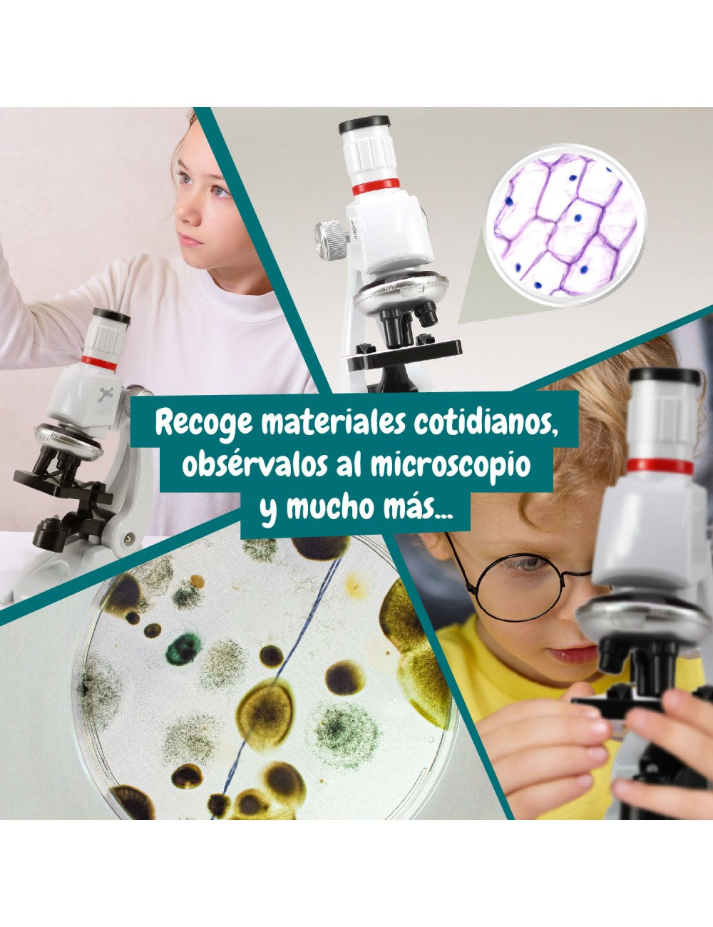Microscope Lab – Descubre el Mundo Microscópico