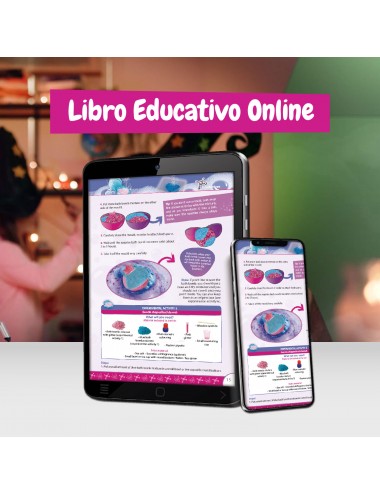 Pociones Mágicas – Crea Hechizos Científicos