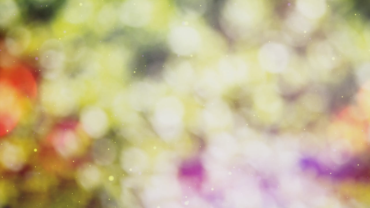 Laboratorio de Flores de Papel | Juego Educativo Science4you