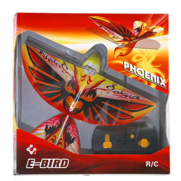 eBird Orange (Phoenix)