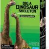 Kit De Excavación Esqueleto De Dinosaurio Braquiosaurio