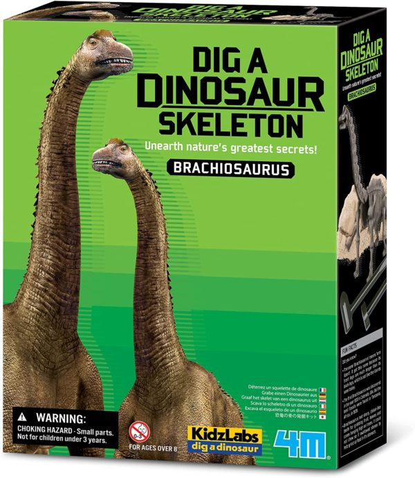 Kit De Excavación Esqueleto De Dinosaurio Braquiosaurio