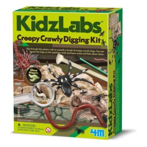 Kit Excavación De Insectos