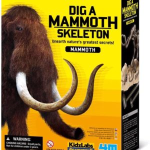 Kit De Excavación Esqueleto Mamut