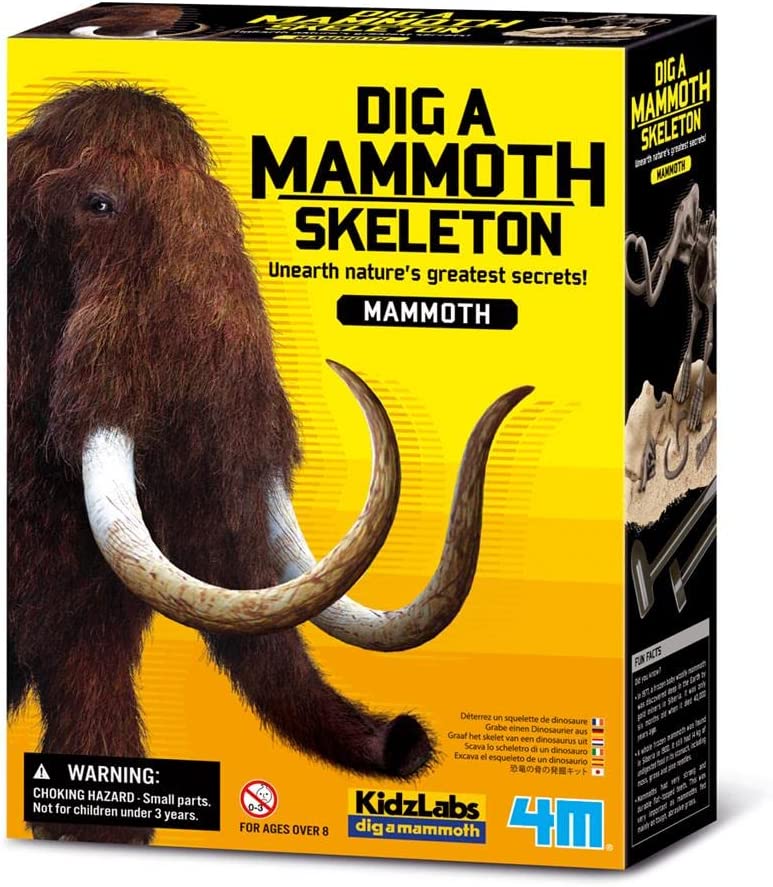 Kit De Excavación Esqueleto Mamut